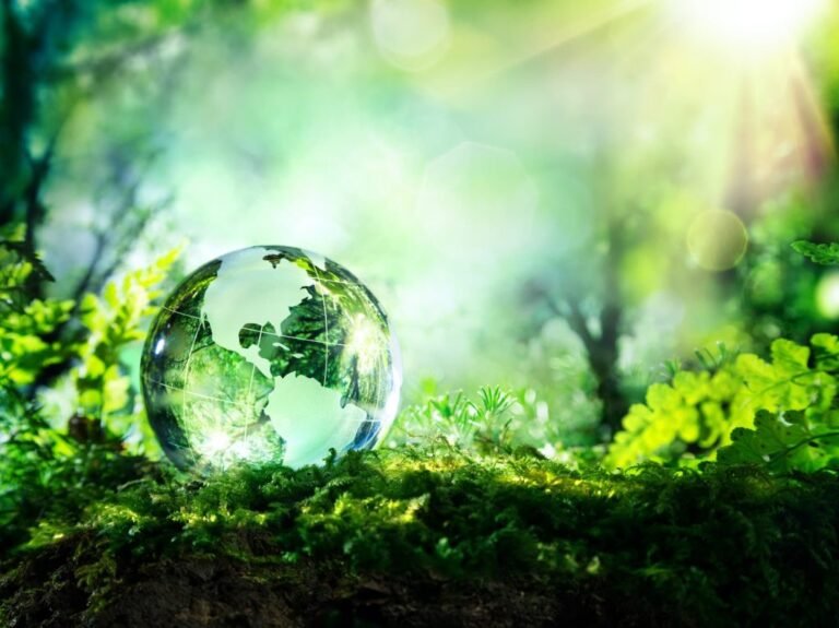Top UK Eco-Friendly Startups 2025: Innovative Green Solutions Driving Market Growth
